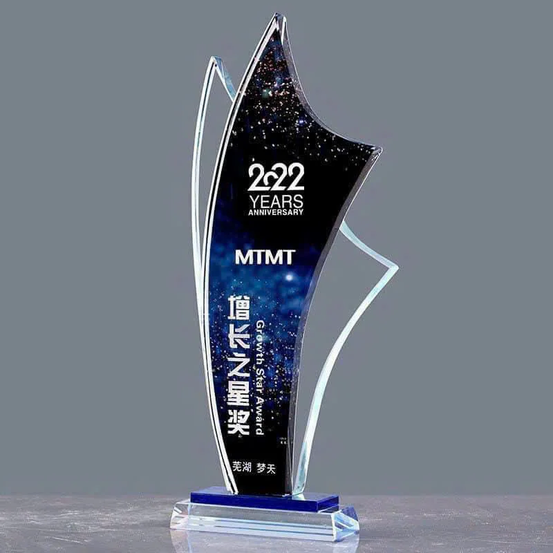 Kỷ Niệm Chương Pha Lê 10