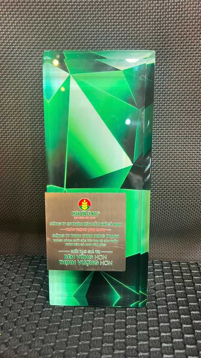 Kỷ Niệm Chương Pha Lê 9
