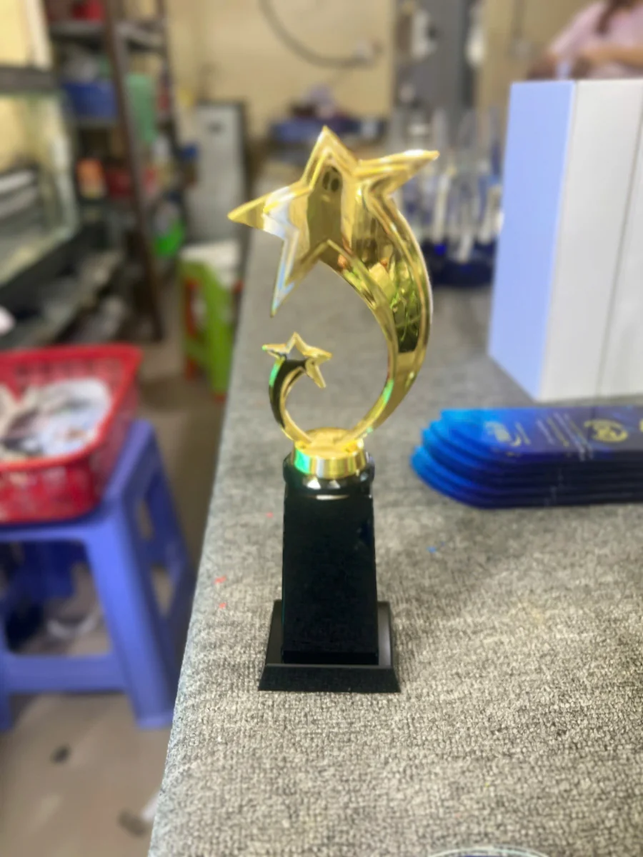 Kỷ Niệm Chương Thủy Tinh 8